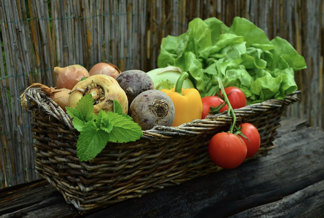 재료의 두 번째 삶