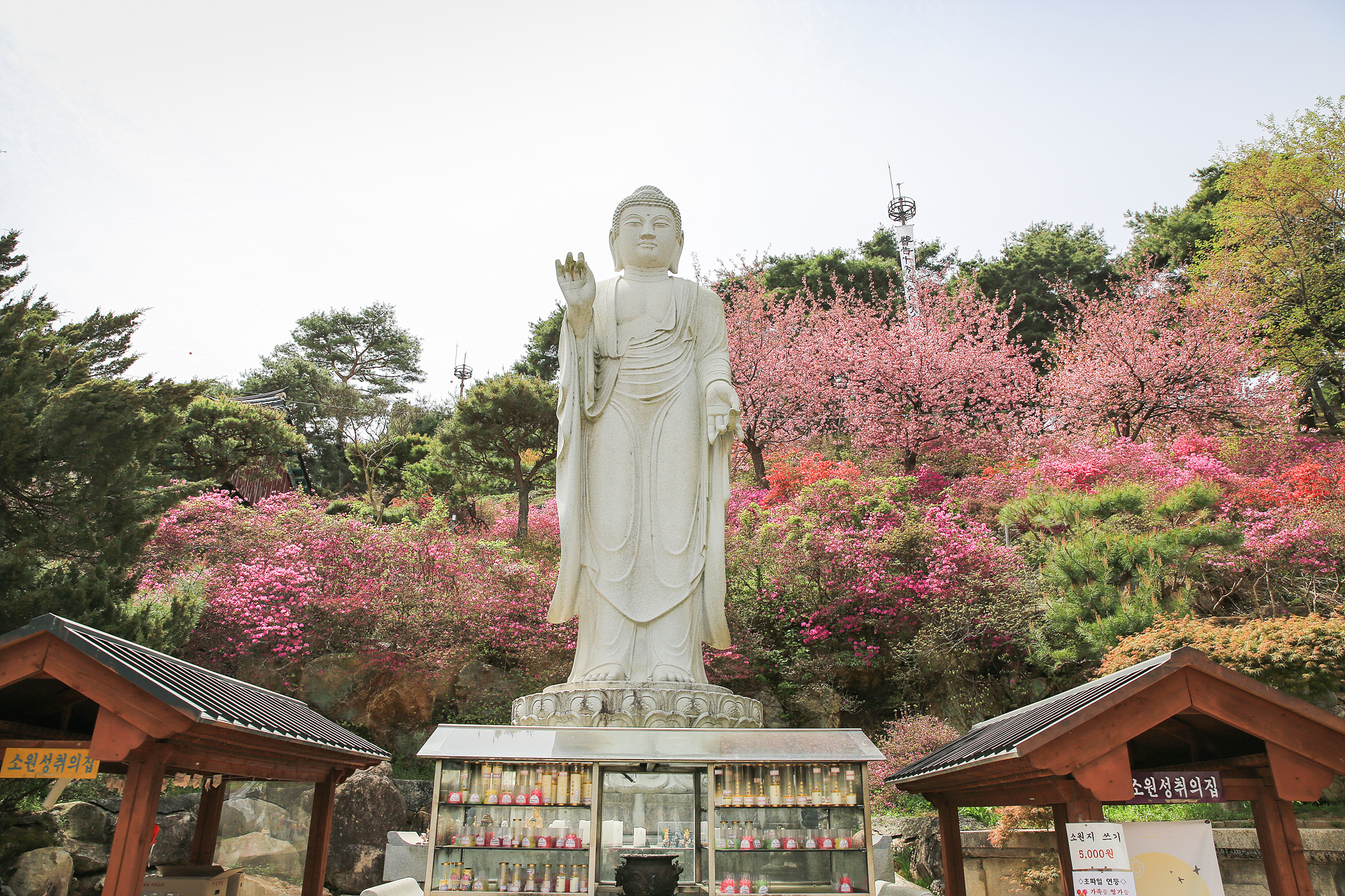 영평사