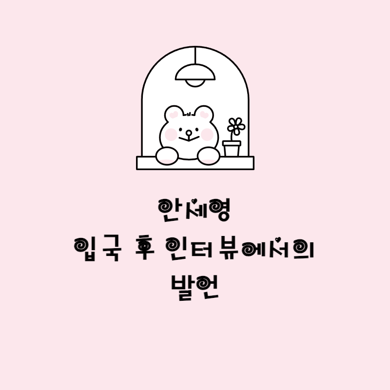 안세영 입국 후 인터뷰에서의 발언