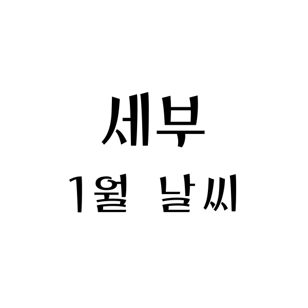 세부 1월 날씨