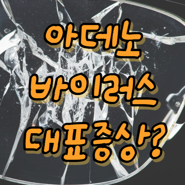 아데노 바이러스 대표증상 썸네일