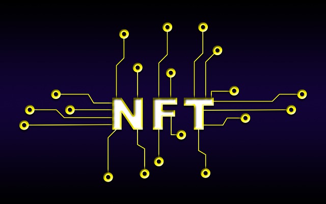 솔라나 관련 NFT사진
