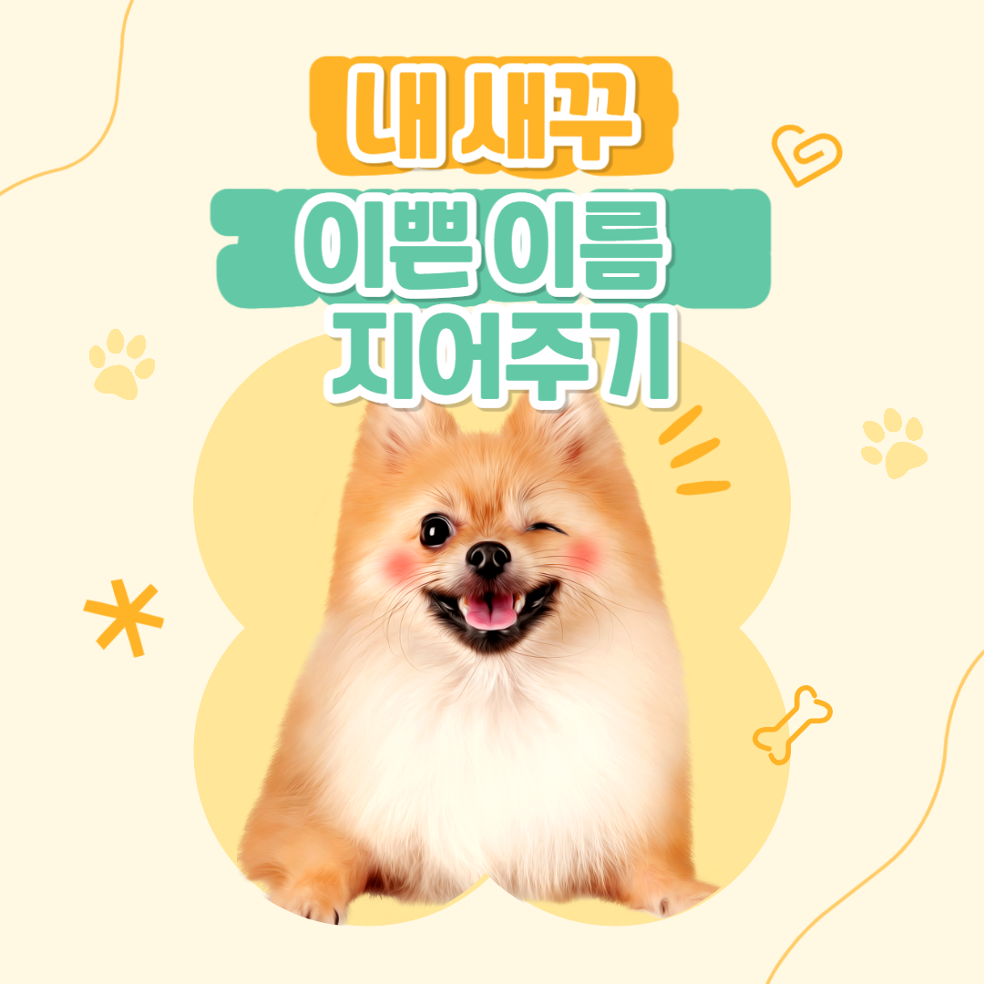 강아지이름추천