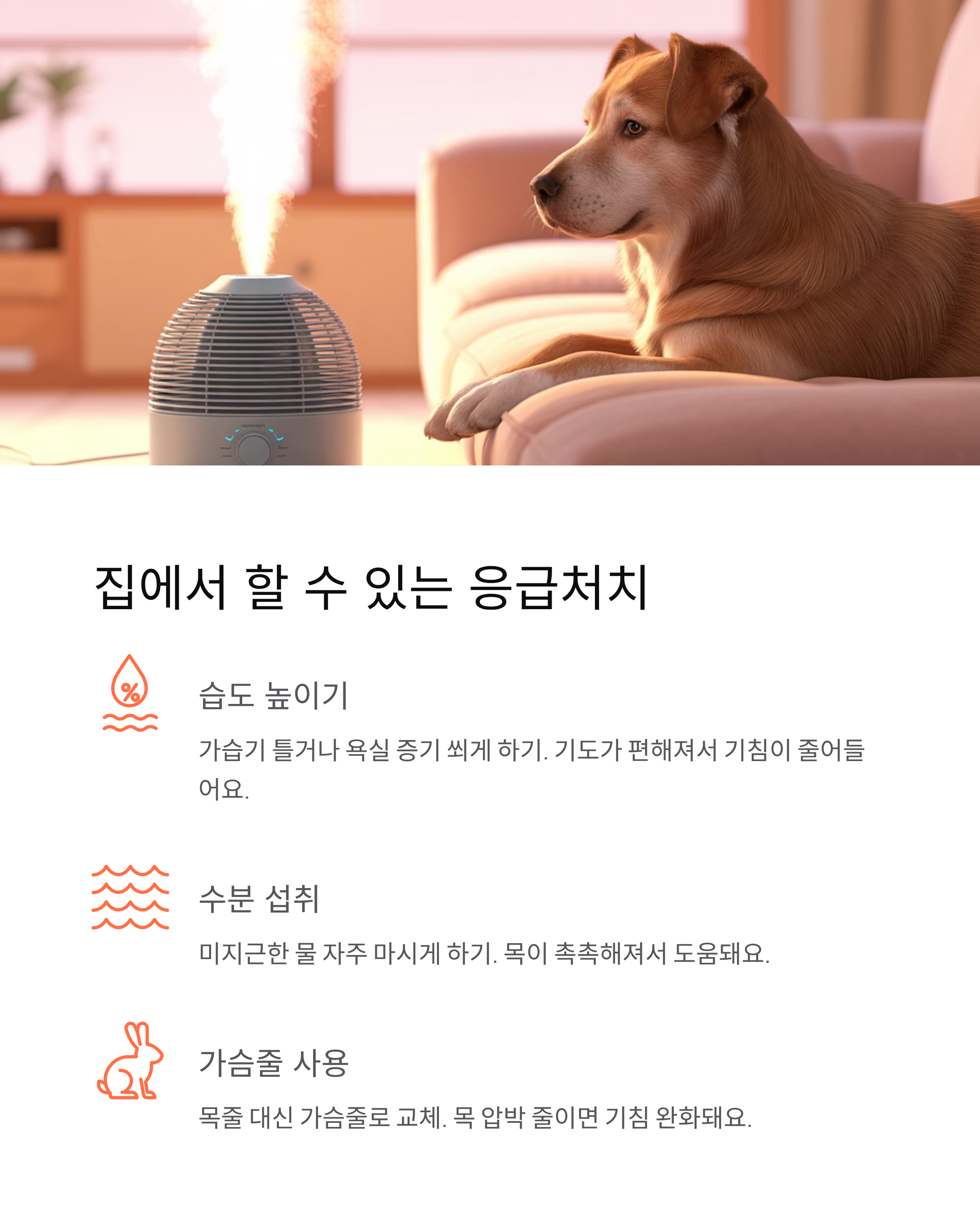 강아지 기침 원인·증상·치료법 총정리! 병원 가야 할 때는?