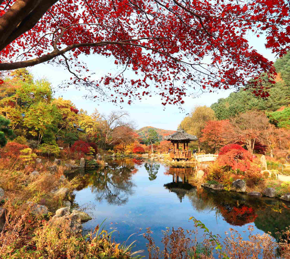 아침고요수목원