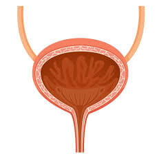 여성 방광염 증상