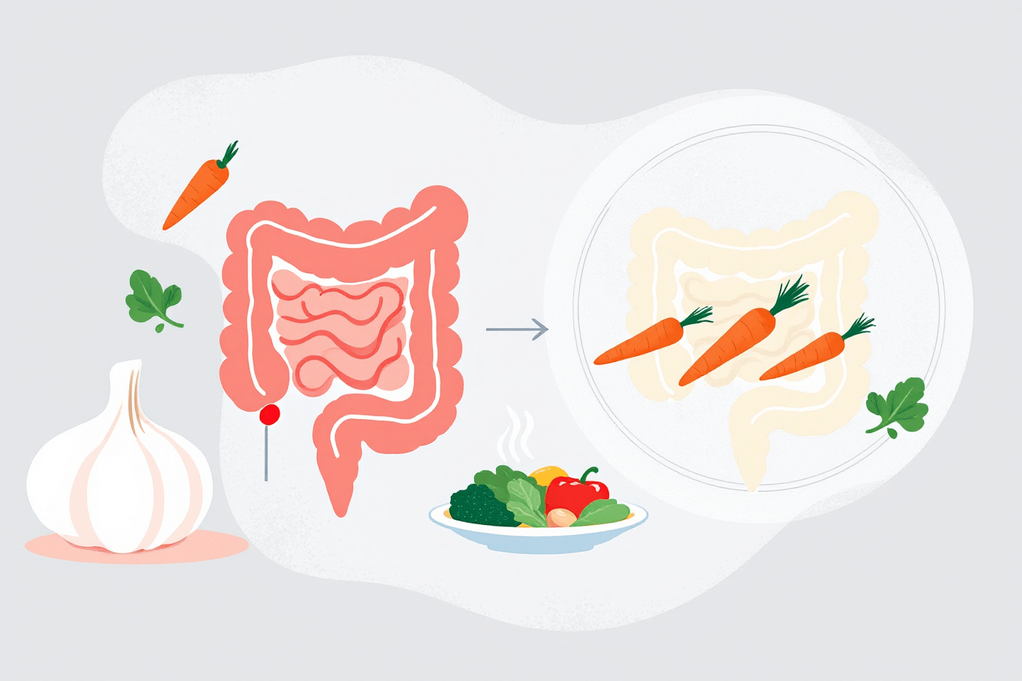 마늘 사진입니다.