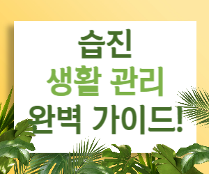 습진 생활 관리 완벽 가이드!