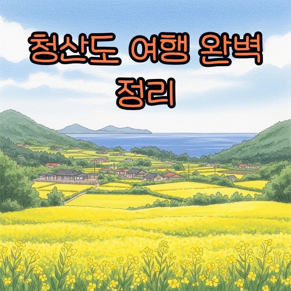 노란 유채꽃과 푸른 바다가 어우러진 청산도 풍경