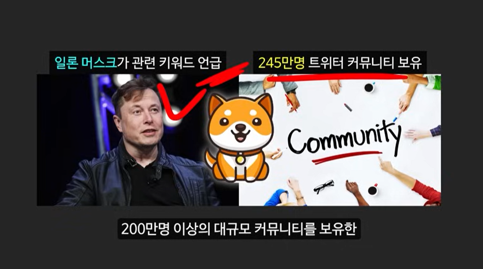 일론 머스크가 주목한 베이비 도지 코인, 급등 가능성은?