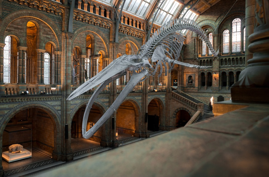 서울 어린이과학관: 호기심과 상상력을 키우는 하루