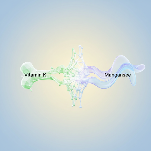 비타민K와 망간&amp;#44; 뼈 건강에 미치는 시너지 효과