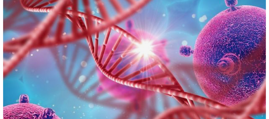 폐렴이 잘 걸리는 나라와 환경에 관련된 사진