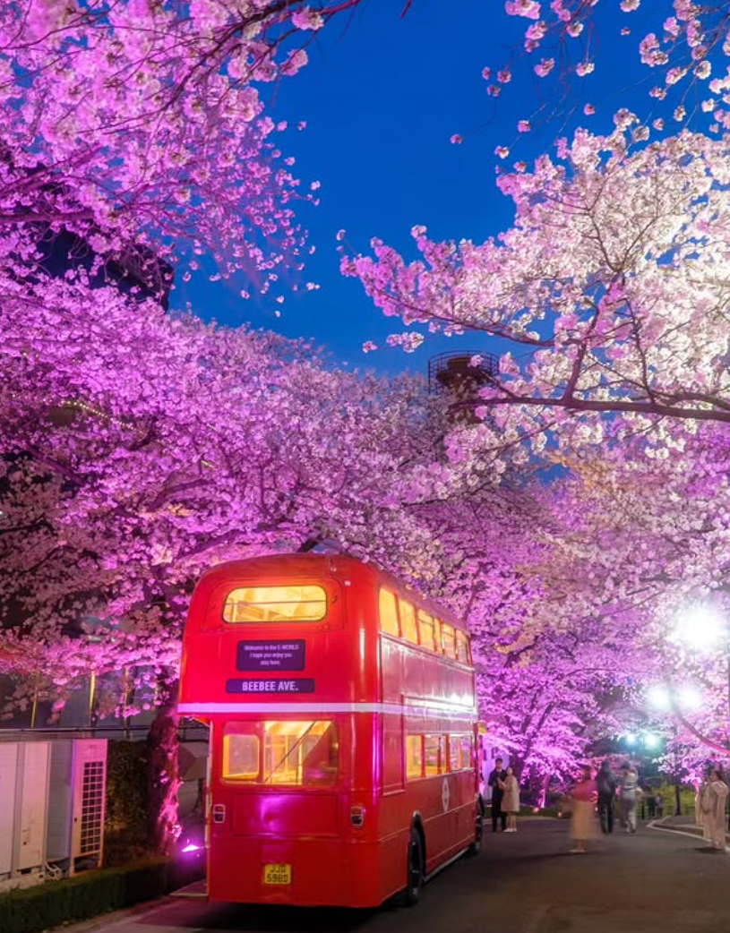 대구 이월드 자유이용권 할인