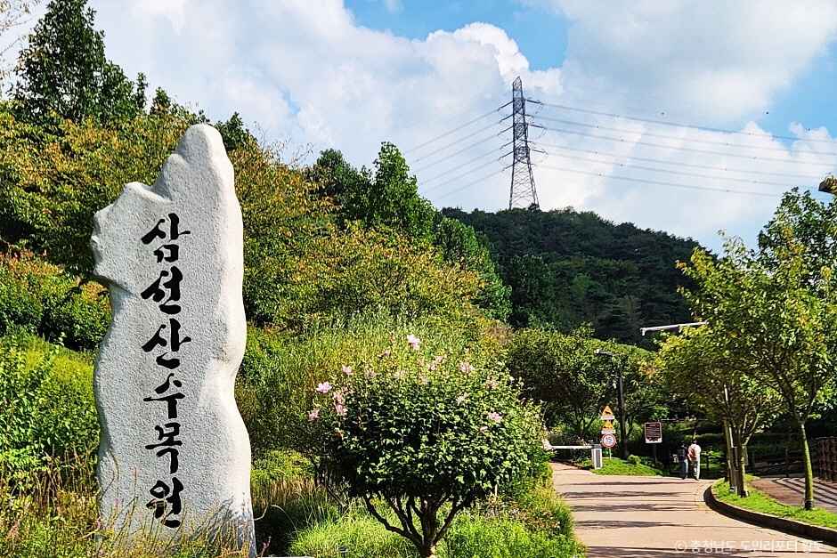 삼선산수목원 체험