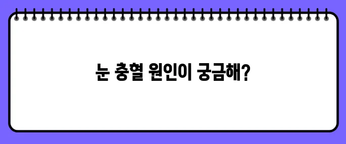 눈이 충혈되는 이유