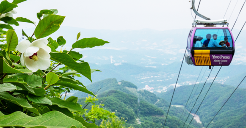 발왕산-케이블카-요금