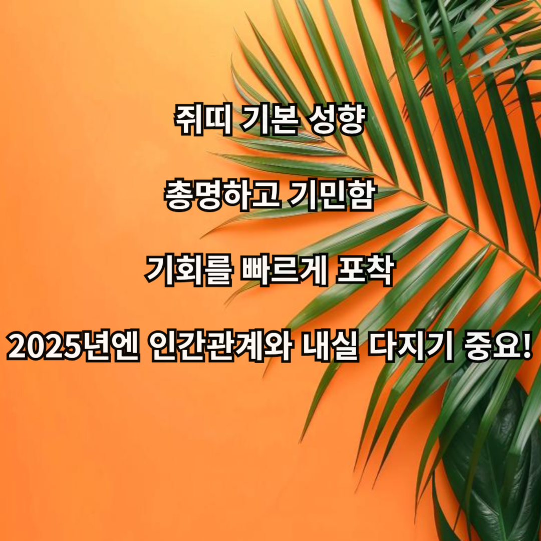 🐭 2025년 쥐띠 별자리 운세 총정리 / 띠+별자리 조합으로 보는 운명의 흐름
