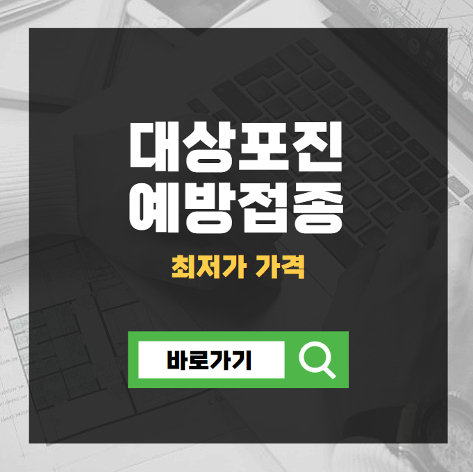 대상포진 예방접종 가격 (최저가)