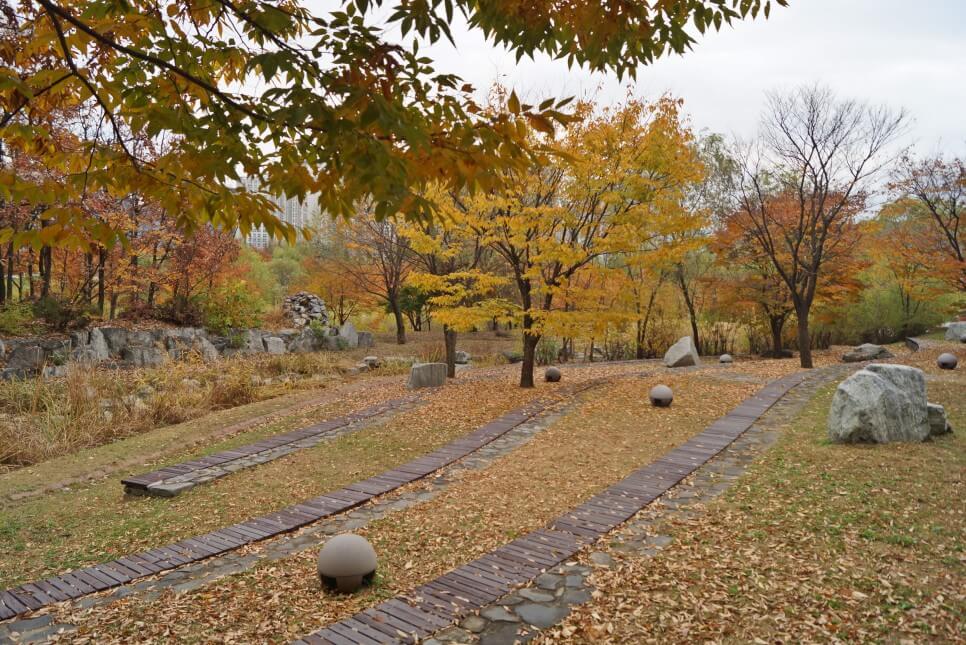 반려견과 함께 떠나는 분당&middot;판교 가을산책 단풍명소 추천 : 탄천산책로&middot;율동공원&middot;판교생태공원