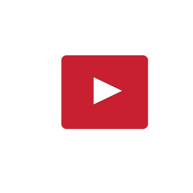 유튜브 관련 이미지