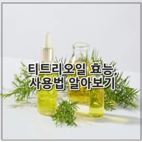 티트리오일 효능, 사용법 알아보기