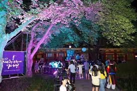 2025 대구 국가유산 야행