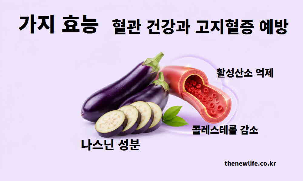 가지 효능 혈관 건강 고지혈증 예방