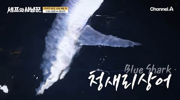 낚싯줄로 상어 잡은 여자연예인.jpg | 인스티즈