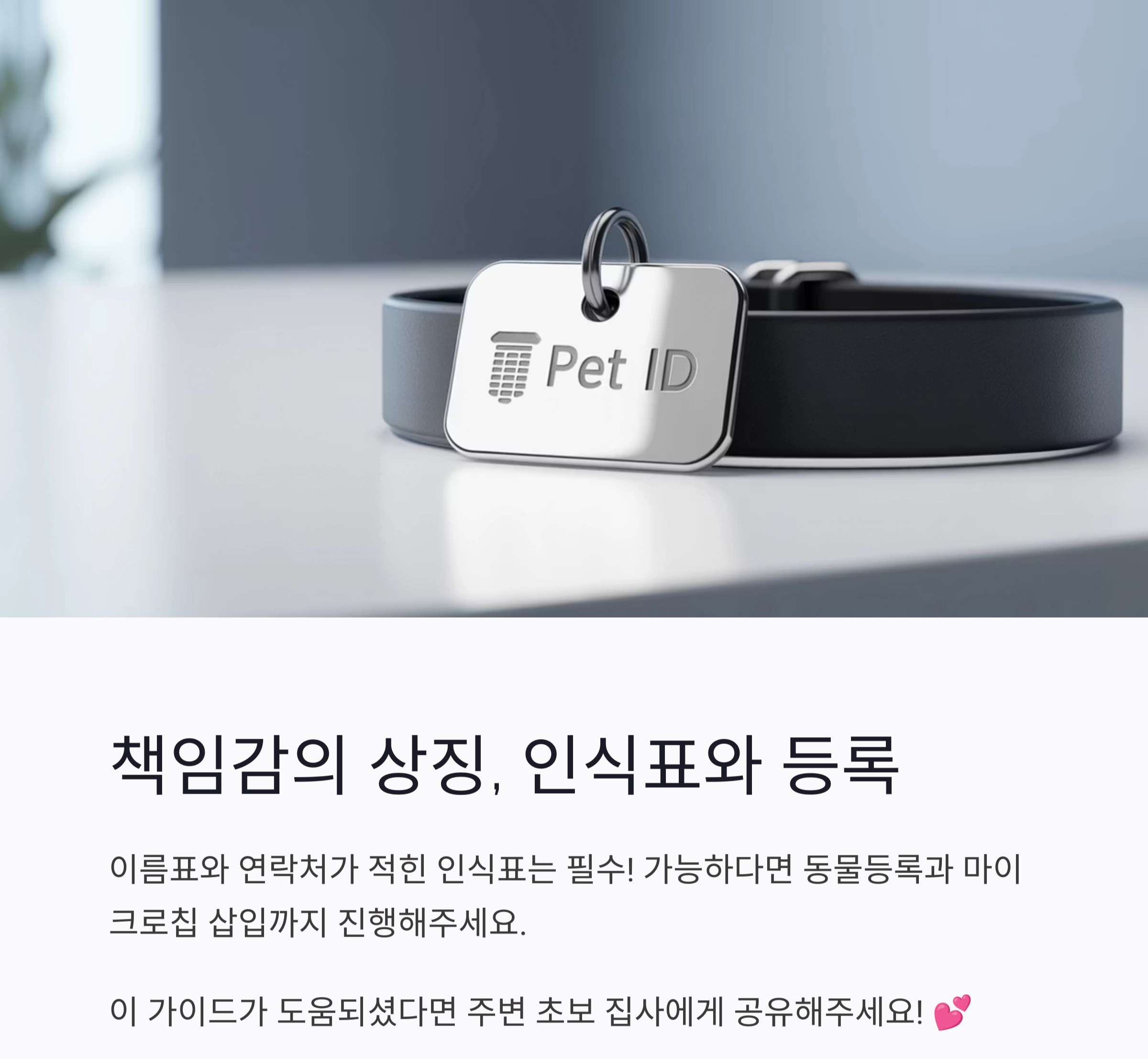 반려동물 초보 집사를 위한 필수템 완벽 가이드