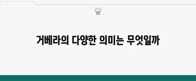 거베라 꽃말: 색깔별 의미와 선물하기 좋은 날