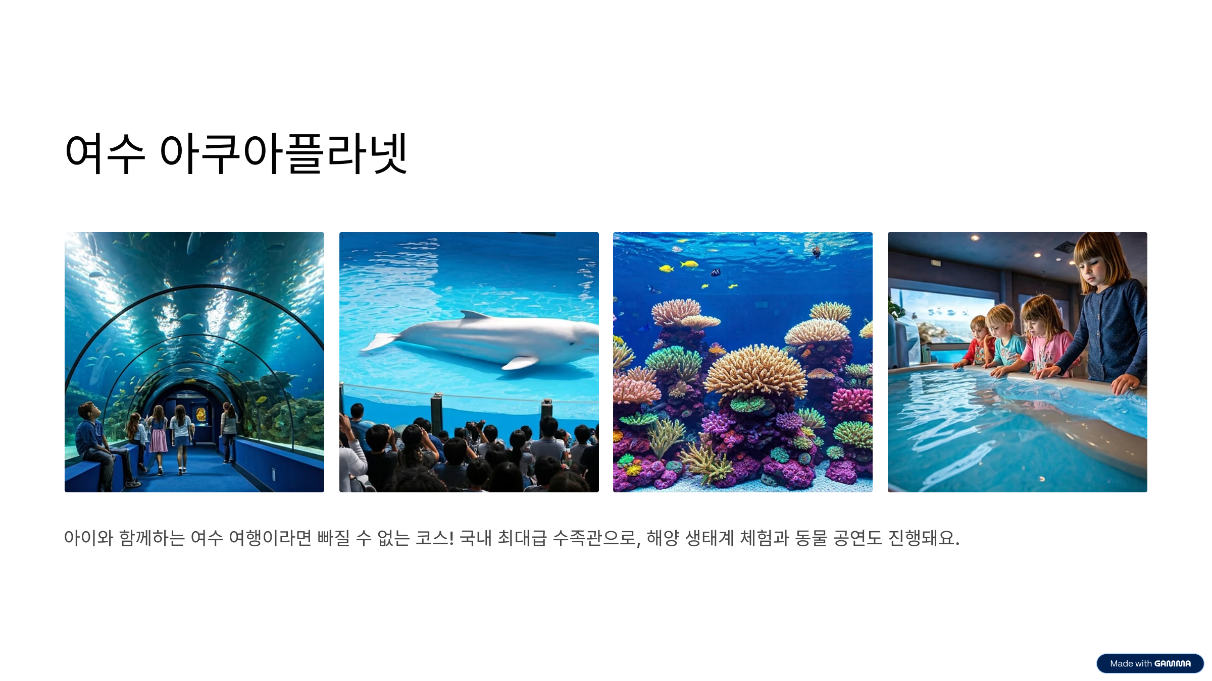 여수 가볼만한곳 베스트10 바다·야경·맛집까지 한 번에 즐기기
