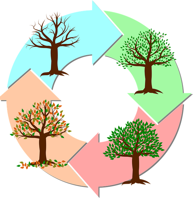 계절별 건강 관리법, 계절 변화에 맞는 생활 습관