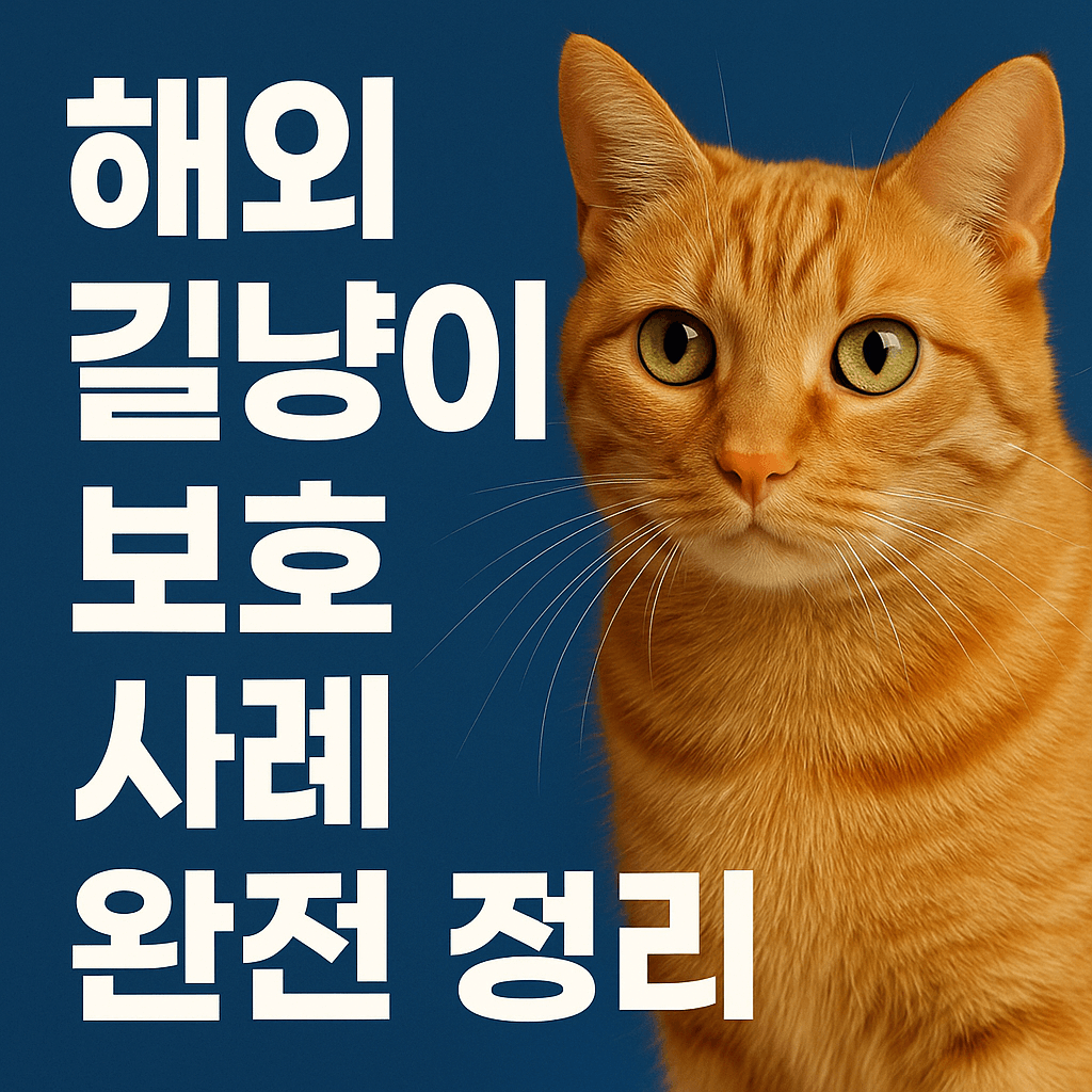 길냥이 문제, 해외는 어떻게 해결했을까? 미국·대만·영국의 비밀 전략 공개