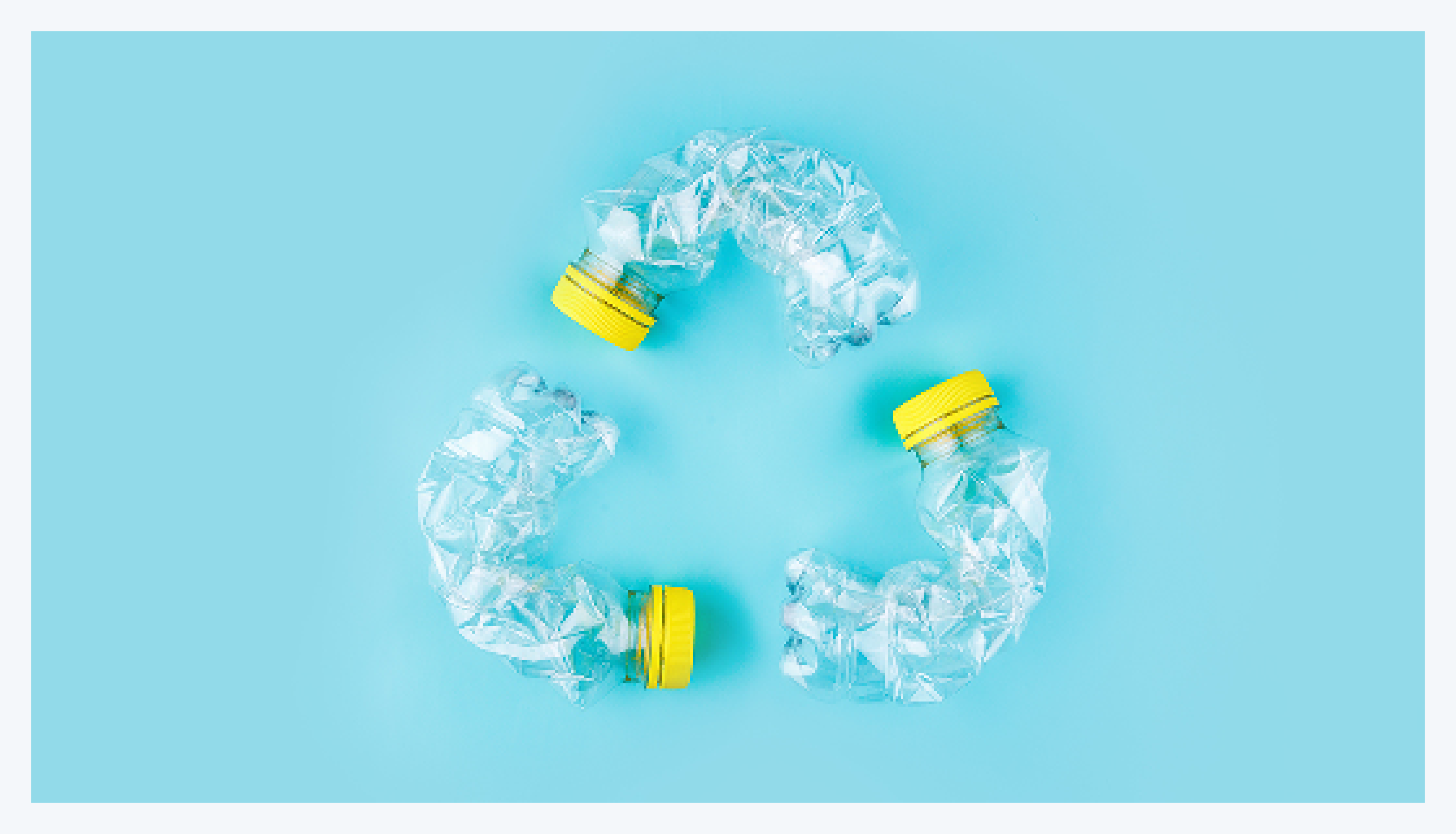 미세 플라스틱, 미세플라스틱