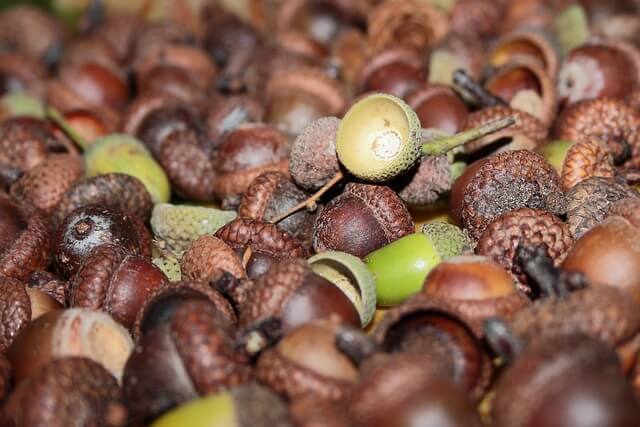 11월 제철 음식 궁합이 좋은 레시피 10가지