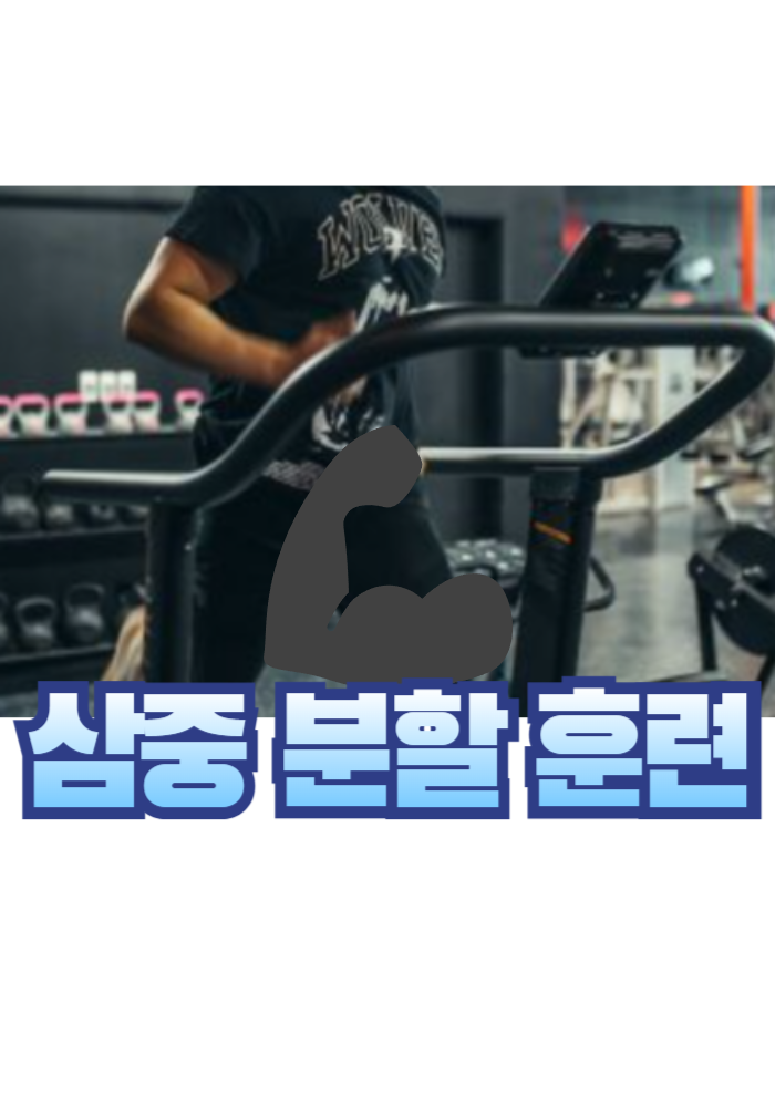 1.삼중 분할 훈련 원칙