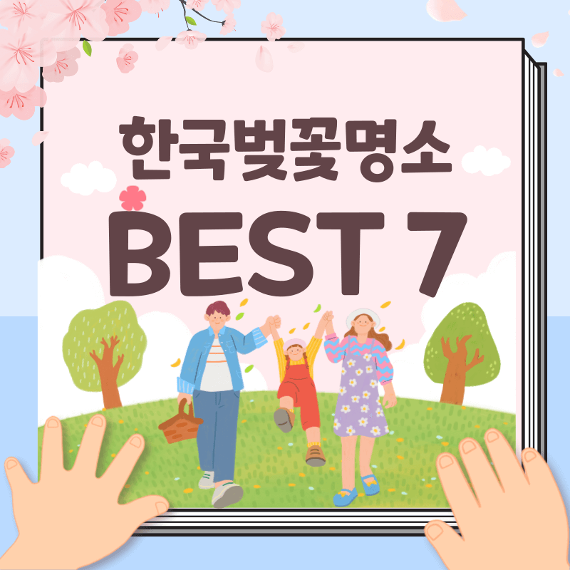 2025 전국 벚꽃 명소 서울부터 제주까지 추천