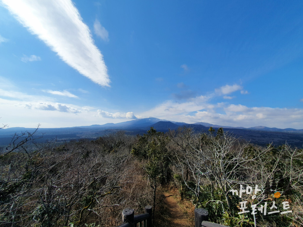 붉은 오름 정상 풍경
