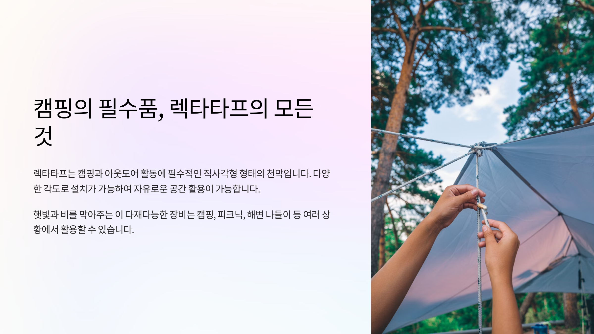 렉타타프란 무엇인가