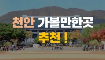 과천 가볼만한곳 카페 추천 맛집 아이랑 여행 코스_4