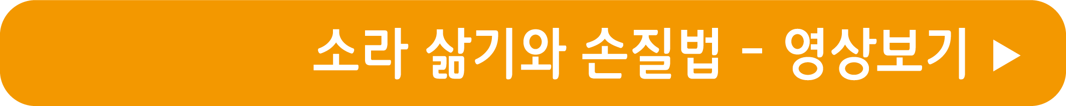 소라 삶기와 삶은 소라 손질법 영상으로 보기