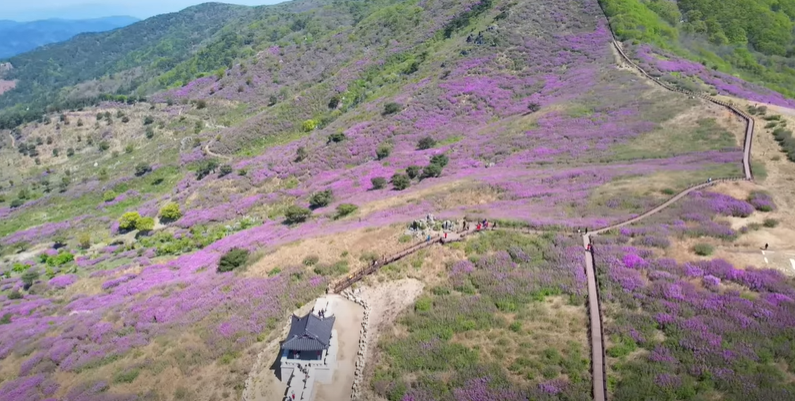 산청군황매산등산코스-3/4코스