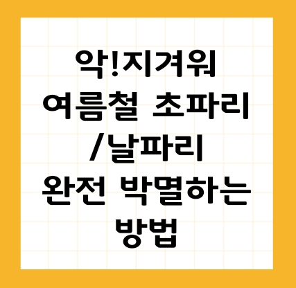 여름철 날파리·초파리 확실히 없애는 초간단 퇴치법