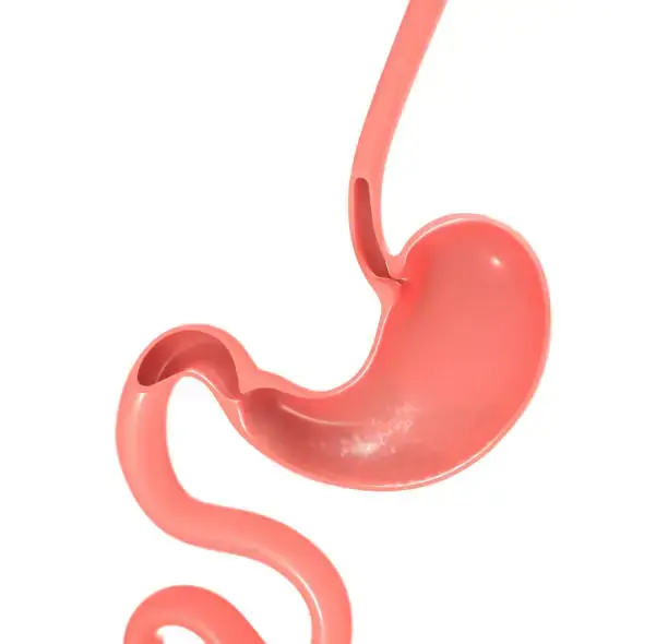 위 내시경 전날 물, 금식(직접체험)