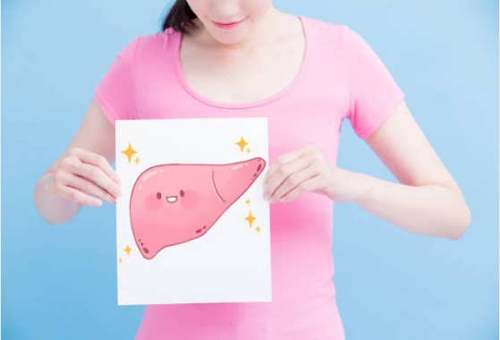 밀크씨슬 효과와 복용법