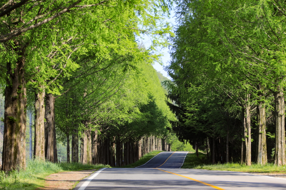 진안 가볼만한곳 베스트10
