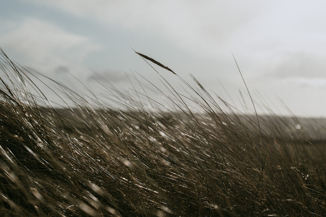 Windproofness