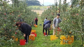 우박·냉해·폭염 삼중고
