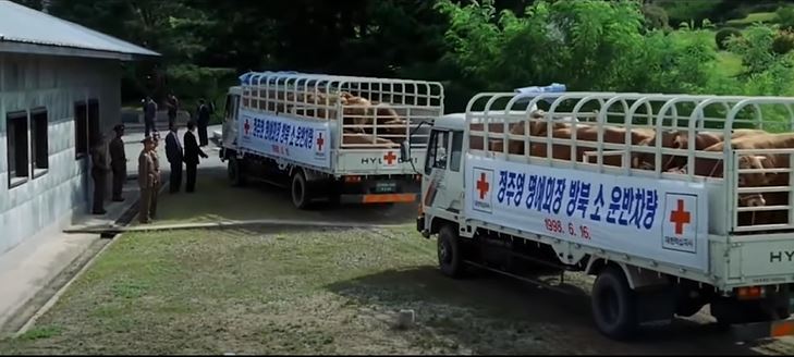 방북 소 운반차량